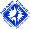 Logo Blue-White-Dynamite VfL Gummersbach e.V.