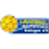 Logo WSG Ispringen/Pforzheim 2