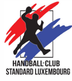 Logo HC Standard