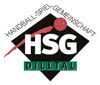 Logo HSG Dilltal 3