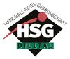 Logo HSG Dilltal II