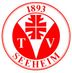 Logo TV Seeheim