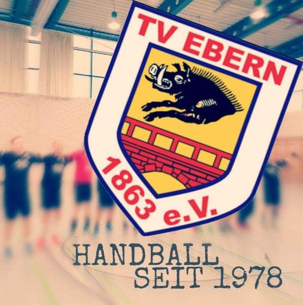 Logo TV Ebern