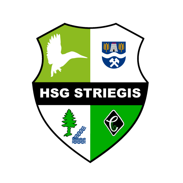 Logo HSG Striegis