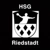 Logo HSG Riedstadt IV