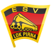 Logo SG Pirna/Heidenau