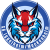 Logo FSG Assenheim/Dannstadt/Iggelheim 2