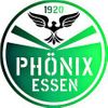 Logo HSG SC Phönix Essen/DJK Grün Weiß Werden II