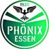 Logo HSG SC Phönix Essen/DJK Grün Weiß Werden