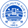 Logo NSG EHV/Nickelhütte Aue