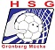 Logo HSG Grünberg/Mücke II
