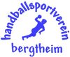 Logo HSV Bergtheim III