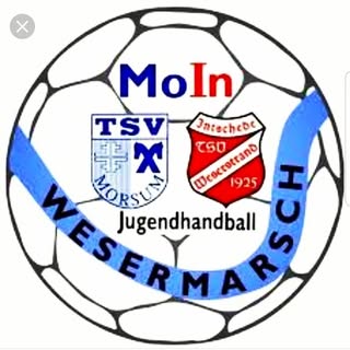 Logo JMH MoIn Wesermarsch