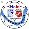 Logo JMH MoIn Wesermarsch