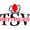 Logo TSV Dettingen/A.