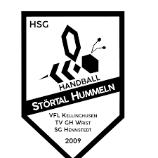 Logo HSG Störtal Hummeln 2