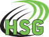 Logo HSG Strohgäu 2