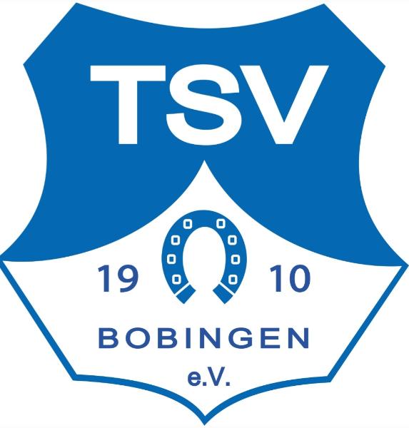 Logo TSV Bobingen 1