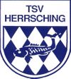 Logo TSV Herrsching IV