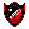 Logo VICTORIA Naunhof II