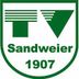 Logo TVS 1907 Baden-Baden 4
