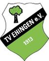 Logo TV Ehingen 3