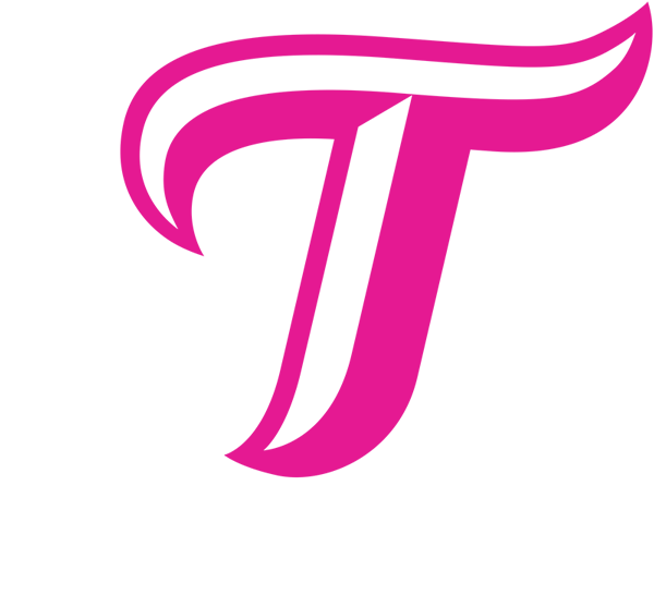 Logo HSG Stuttgart Metzingen