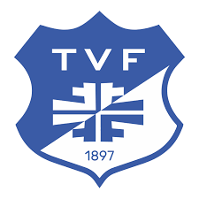 Logo TV Forst 6