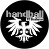 Logo TV Sinsheim 3