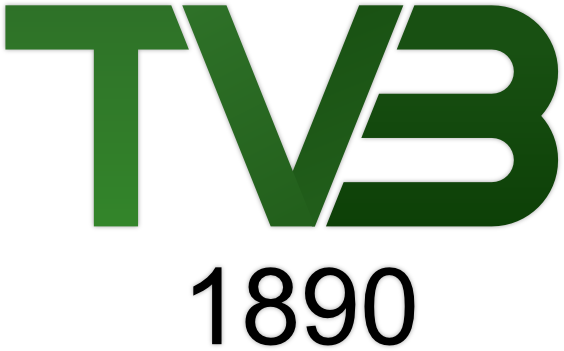 Logo TV Bammental