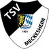 Logo TSV Meckesheim