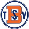 Logo TSV Birkenau 3