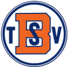 Logo TSV Birkenau 2