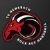 Logo TV Hemsbach 2