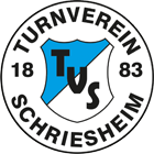 Logo TV Schriesheim 0