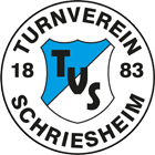 Logo TV Schriesheim