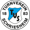 Logo TV Schriesheim