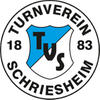 Logo TV Schriesheim 2