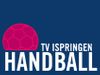 Logo TV Ispringen 2