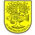Logo SV Bad Buchau