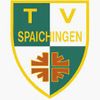 Logo TV Spaichingen