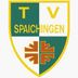 Logo TV Spaichingen 3