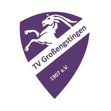 Logo TV Großengstingen 2