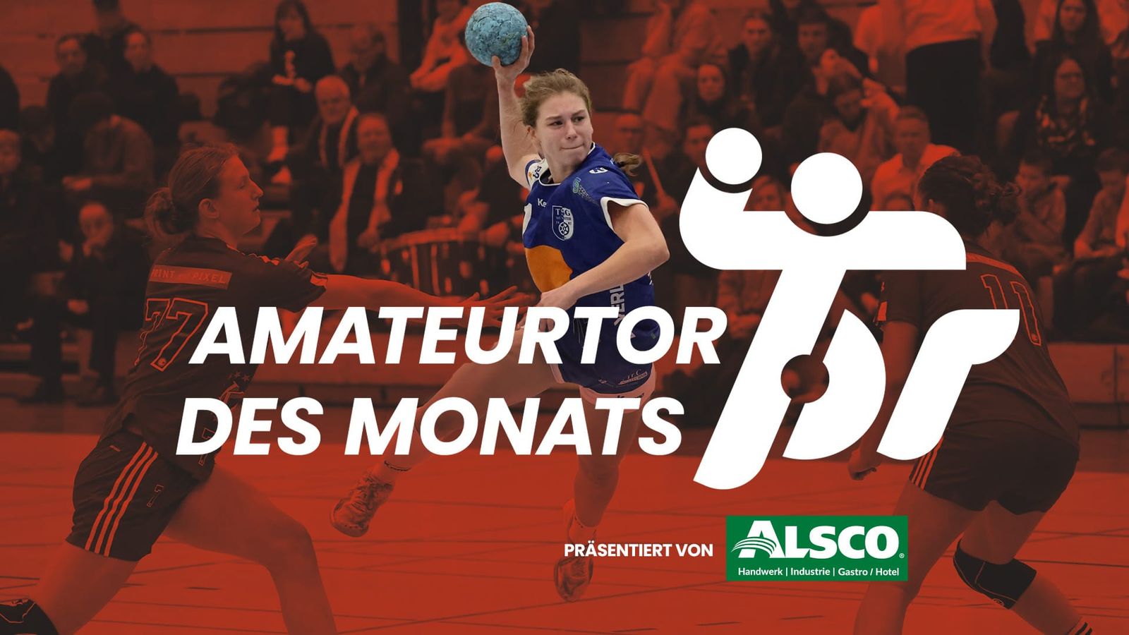 Amateurtor des Monats Februar - Welcher Treffer holt den Titel?