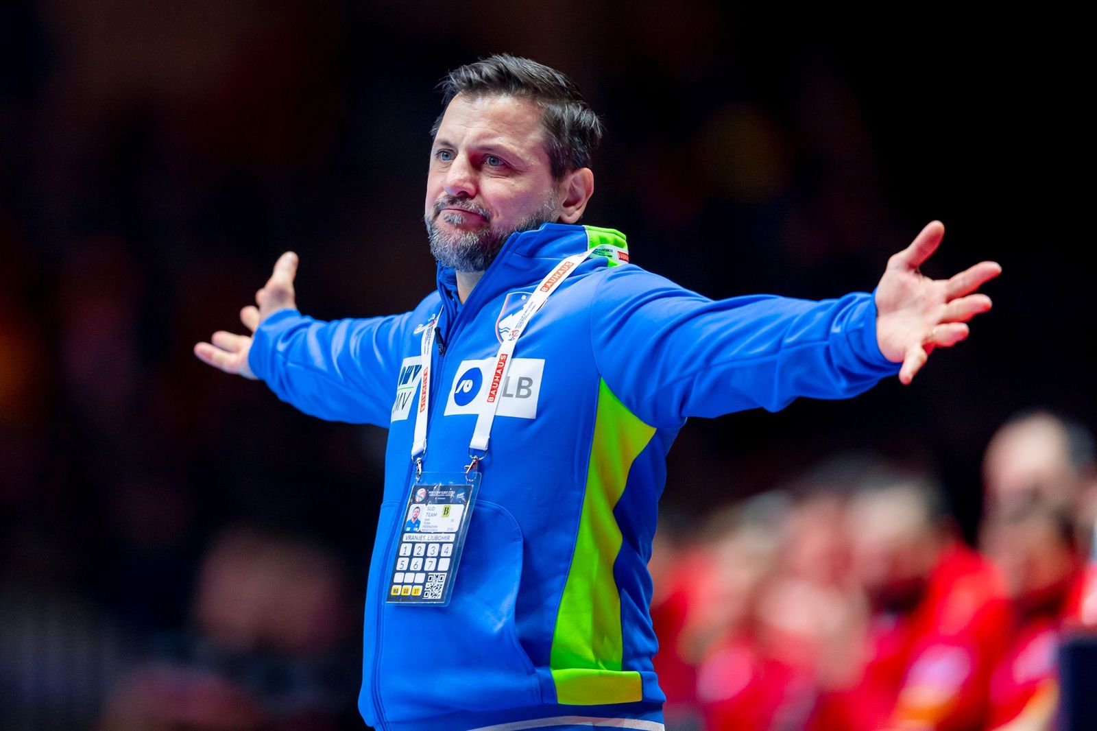 Löwen verpflichten Vranjes - Birlehm kommt