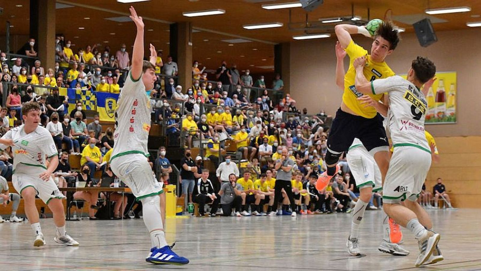 Füchse und Löwen erreichen das Endspiel