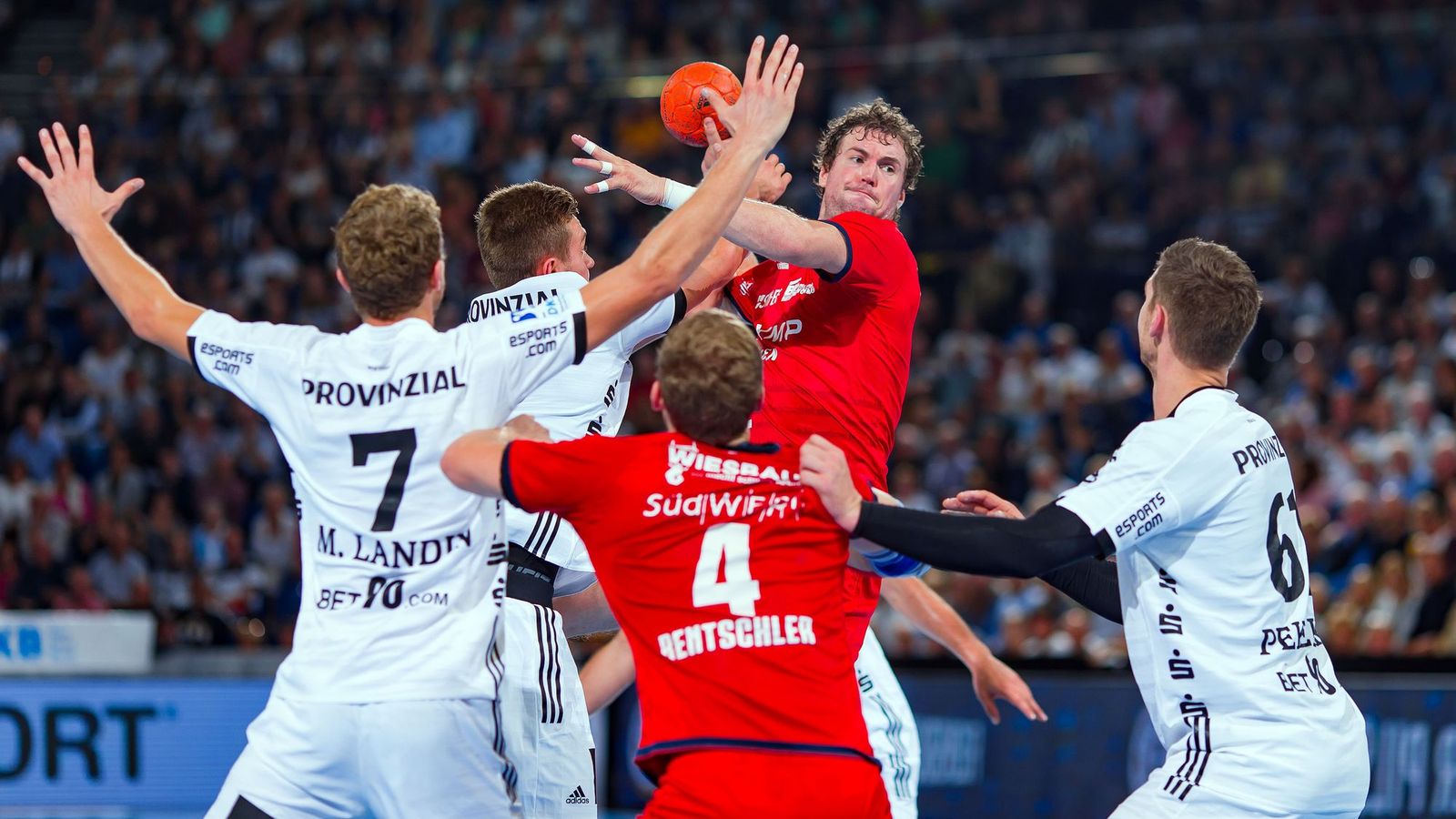 SGL verpflichtet Ex-Bundesligaprofi Haller