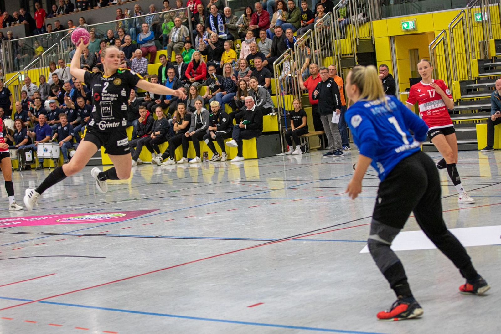 Bienen wollen zurück in Erfolgsspur