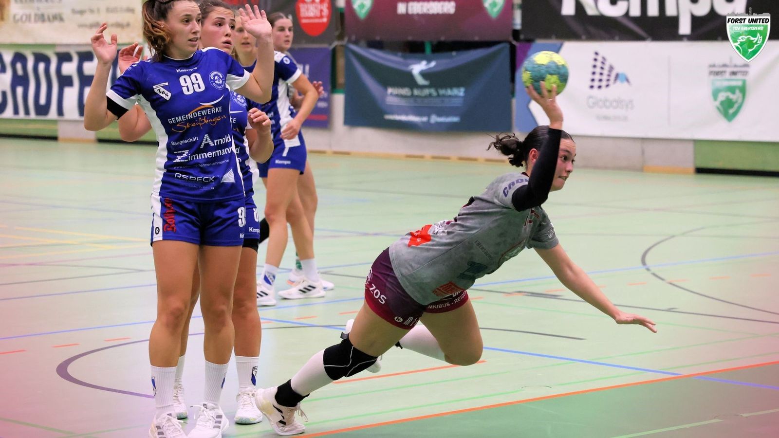 Auf Augenhöhe mit den Hornissen