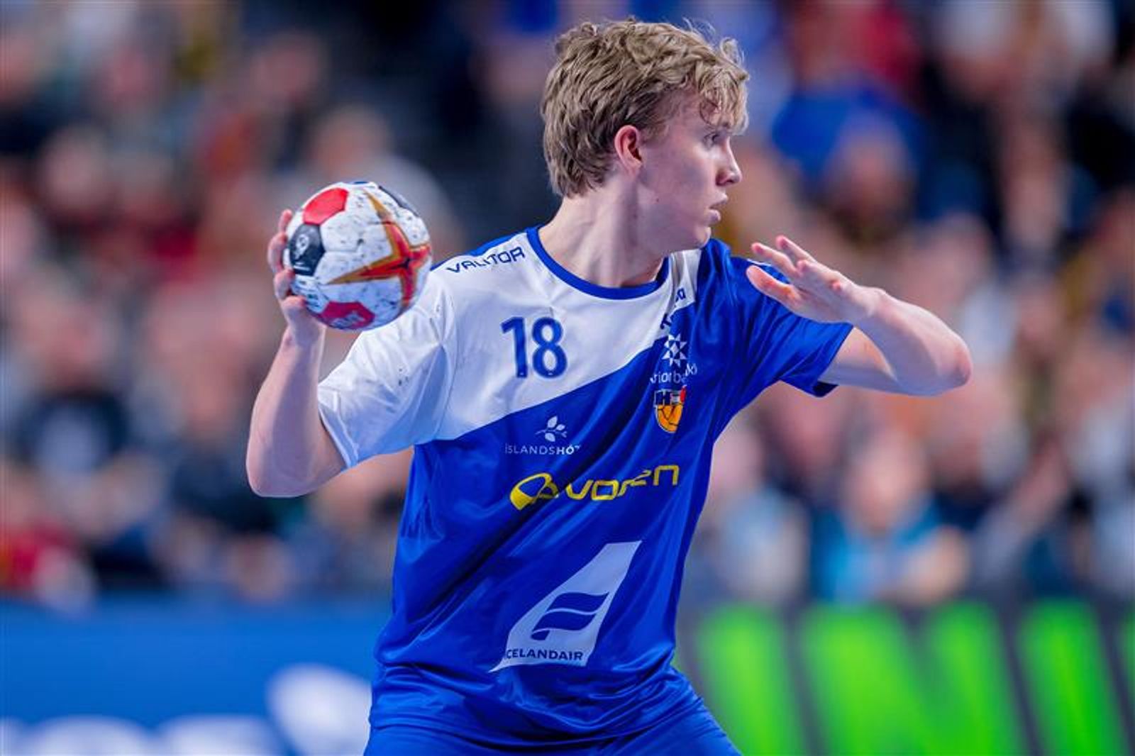 Der Talentschuppen der Wikinger